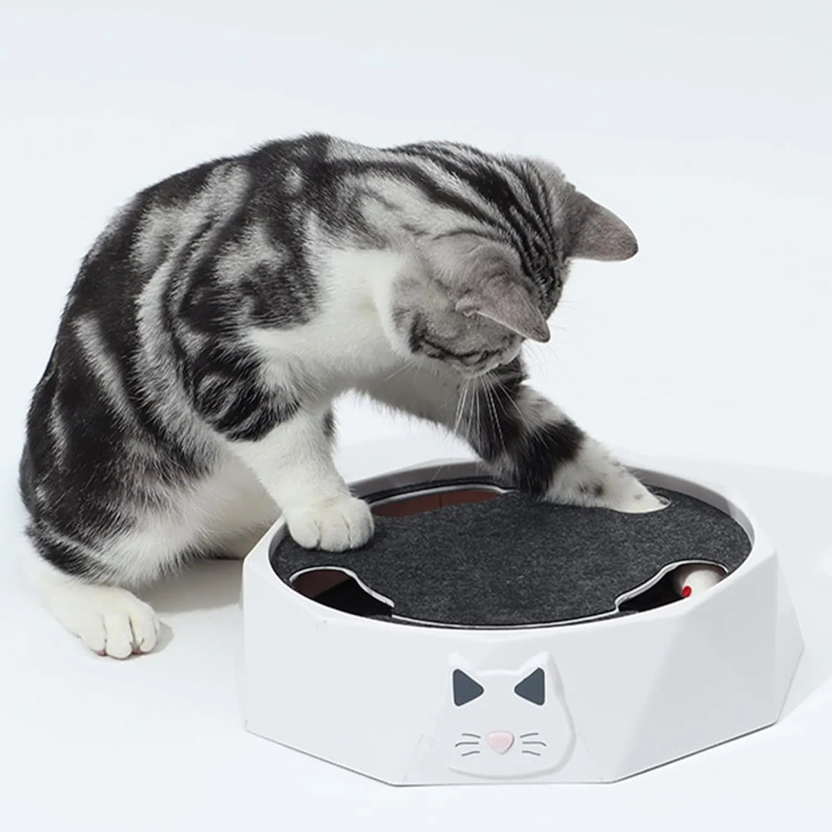 Interactive Rotating Mouse Track Cat Toy with Felt Scratcher