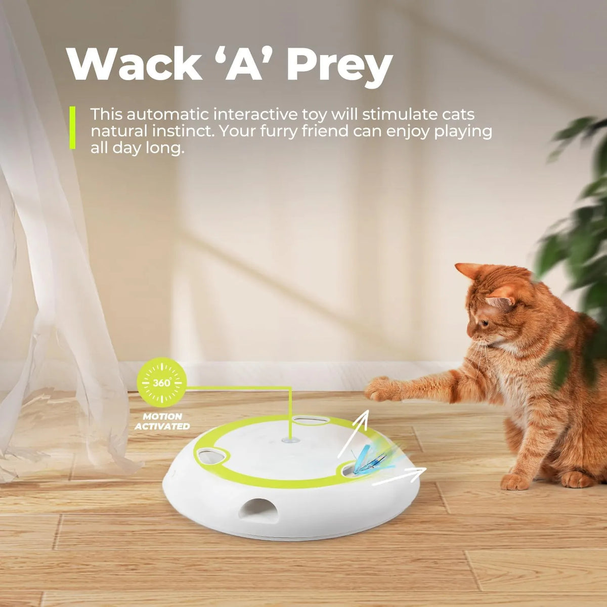 Interactive Rotating Mouse Track Cat Toy with Felt Scratcher