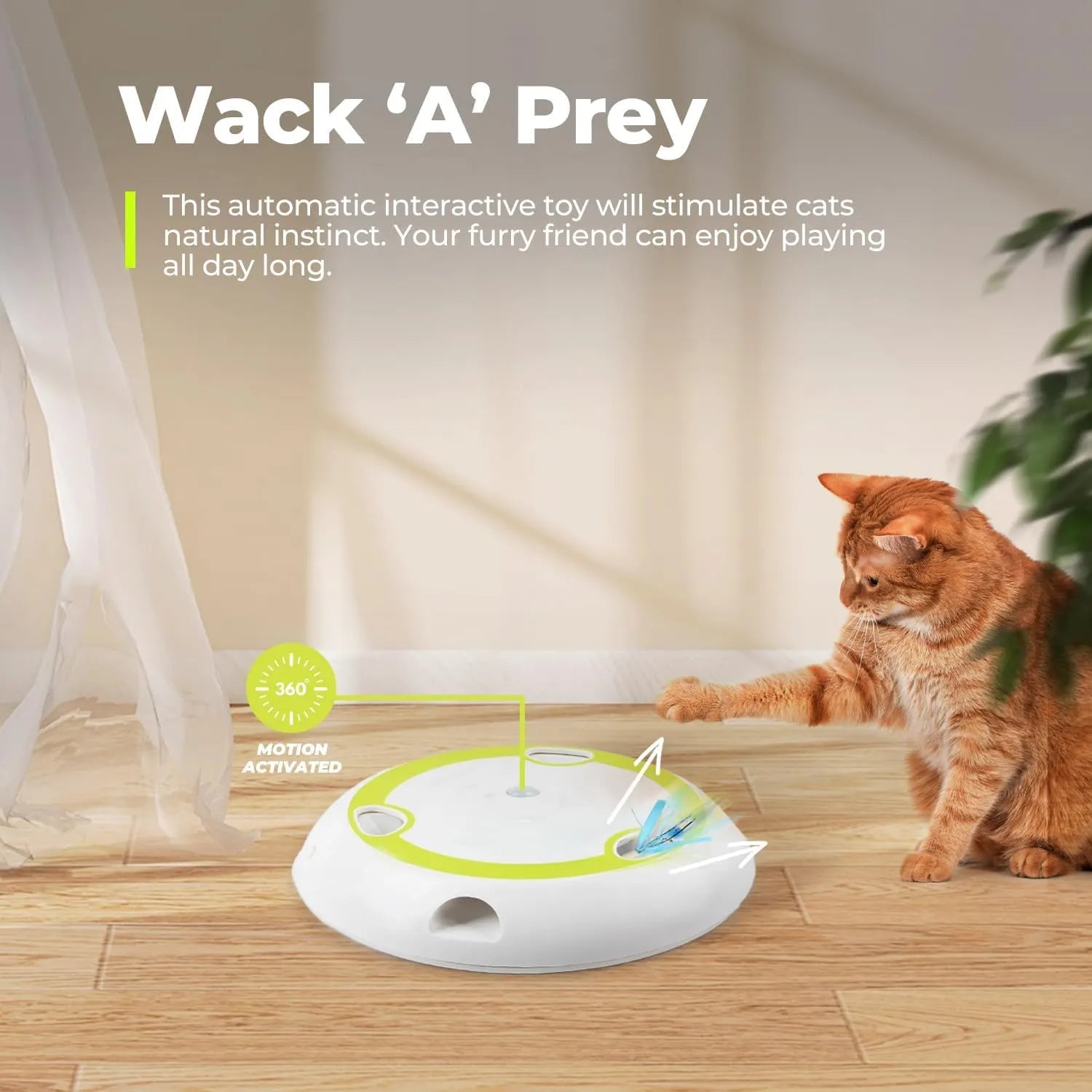 Interactive Rotating Mouse Track Cat Toy with Felt Scratcher
