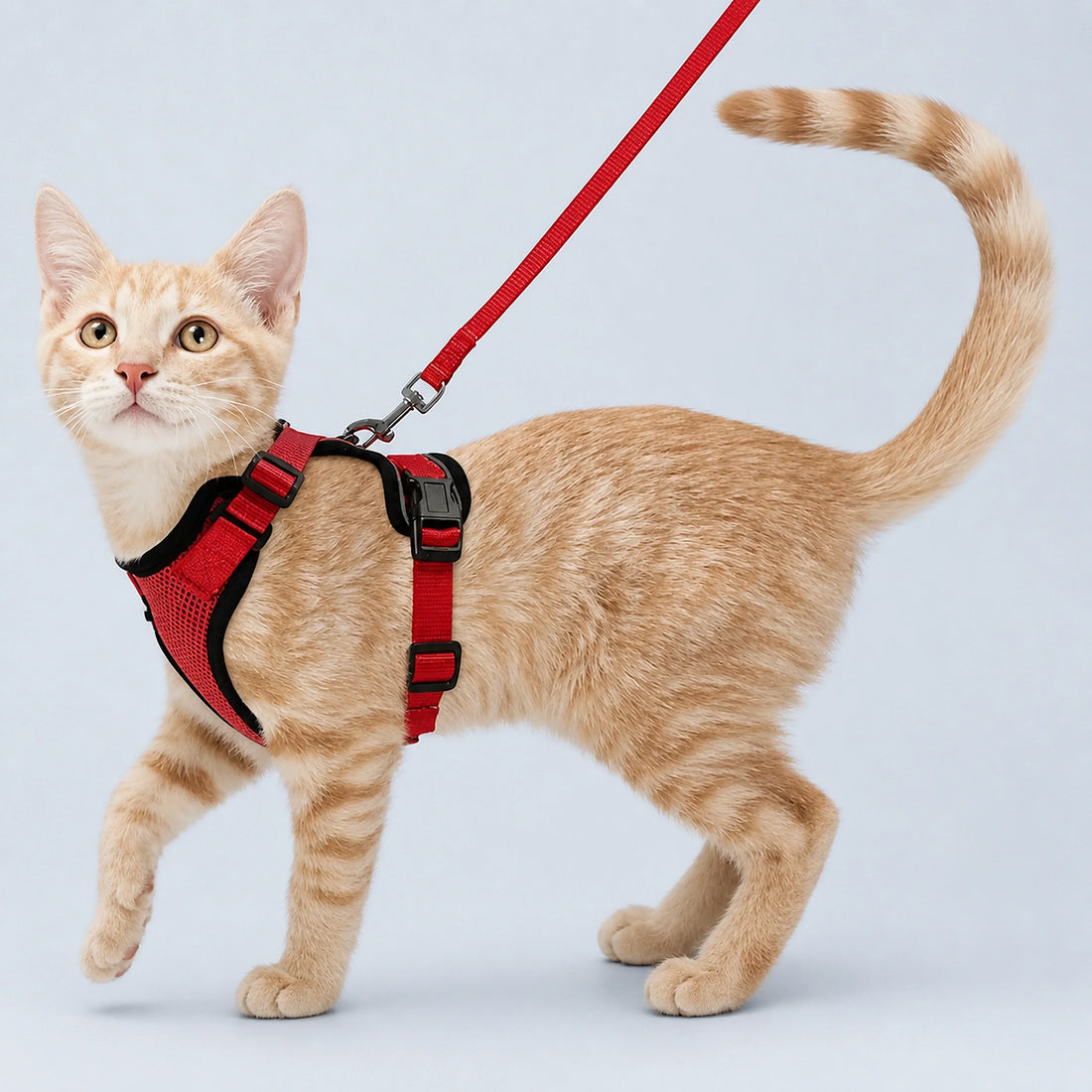 Adjustable Cat Harness Vest for Walking