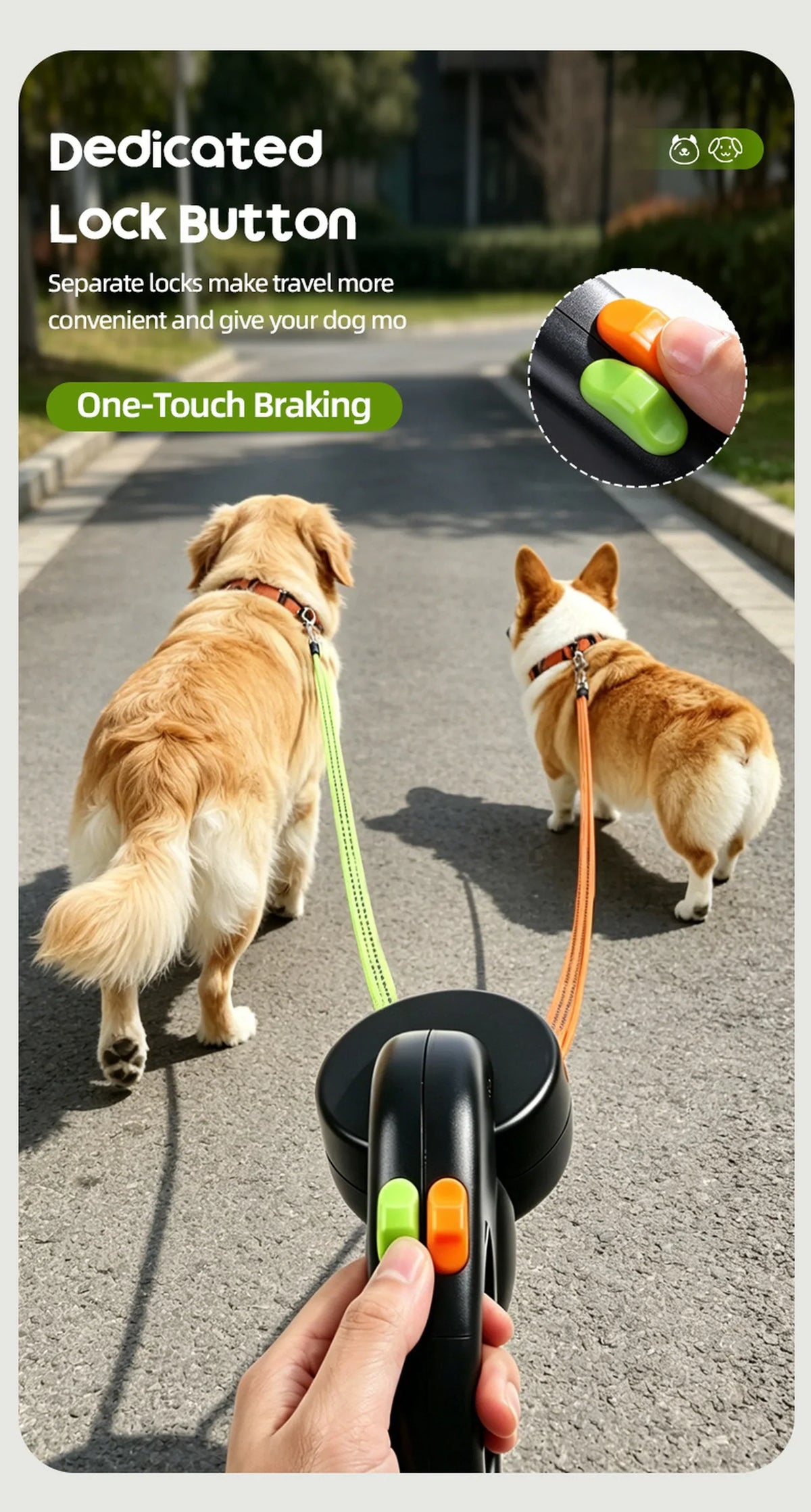 LumiPaw 2-in-1 Retractable Pet Leash