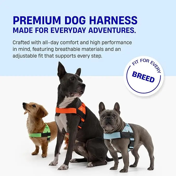 LumiPaw Adjustable Walking Harness for Dogs – XXS–XL
