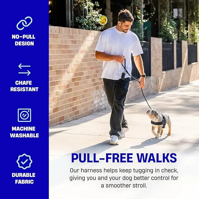 LumiPaw Adjustable Walking Harness for Dogs – XXS–XL