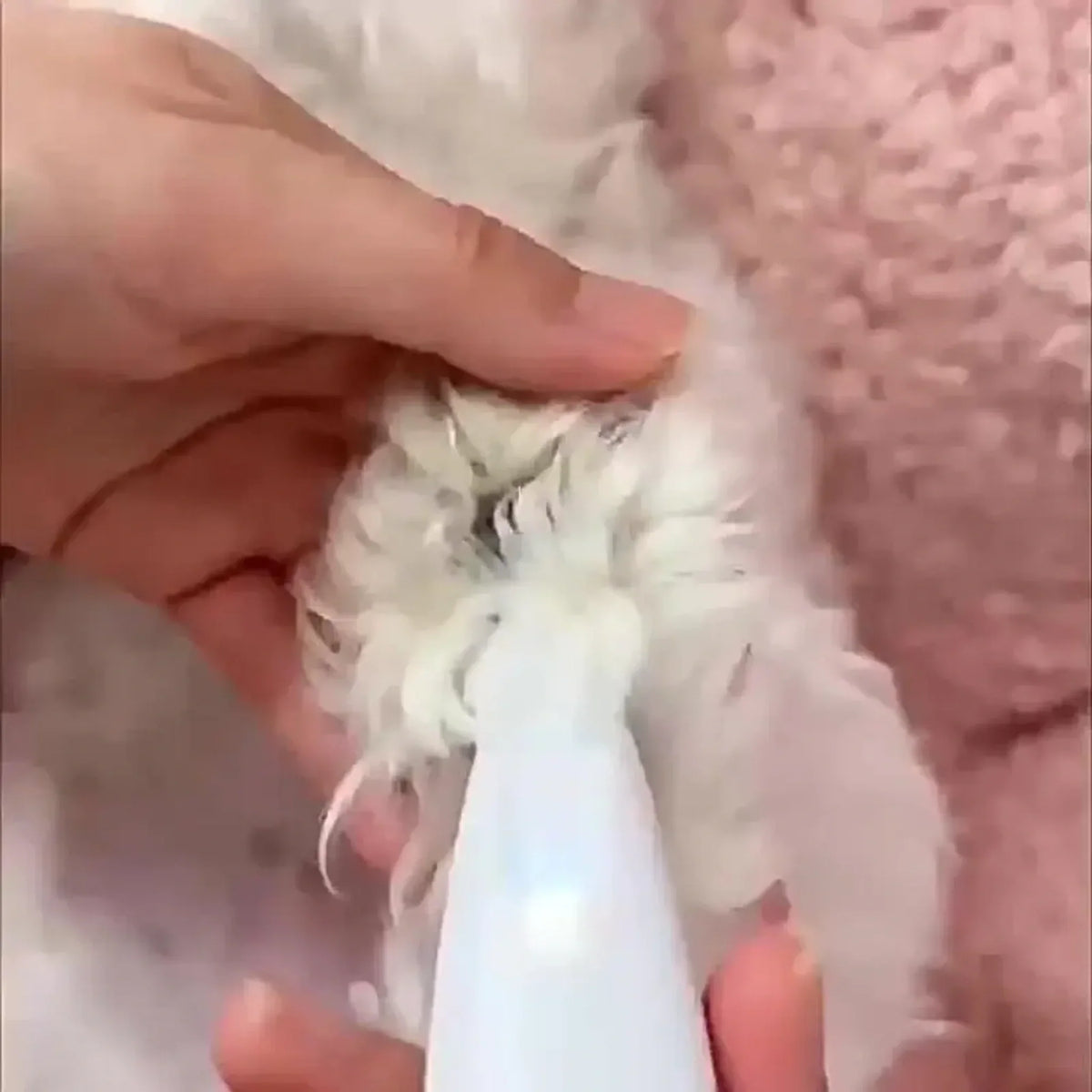 Rechargeable Pet Paw Trimmer with LED Light