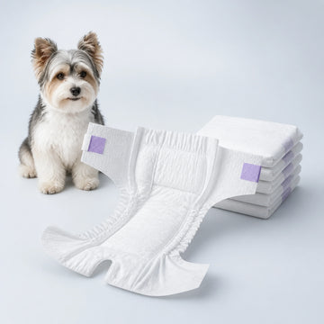 All-Absorb Disposable Dog Diapers for Male & Female Dogs