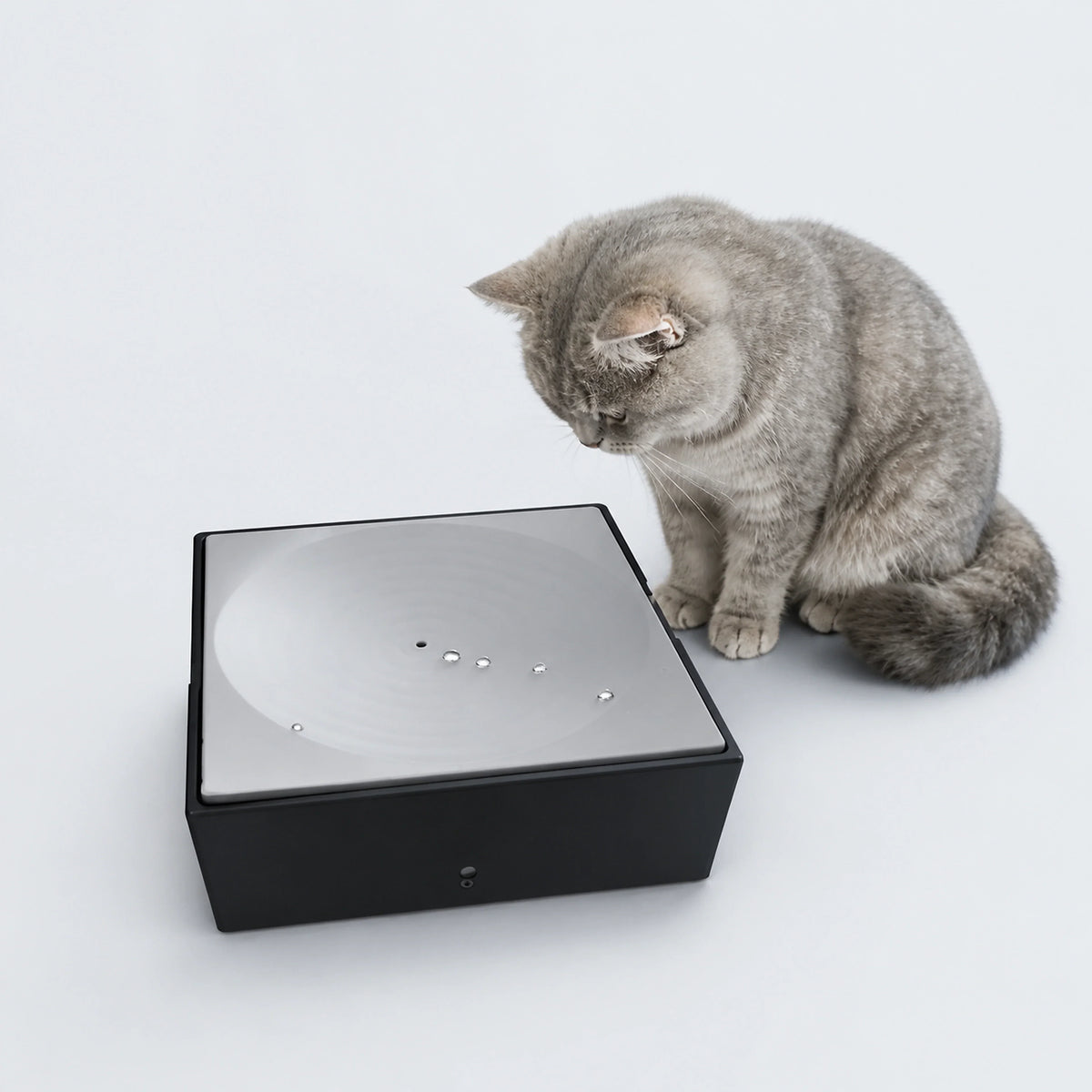 Automatic Water Droplet Cat Teaser – Rechargeable or Plug-In