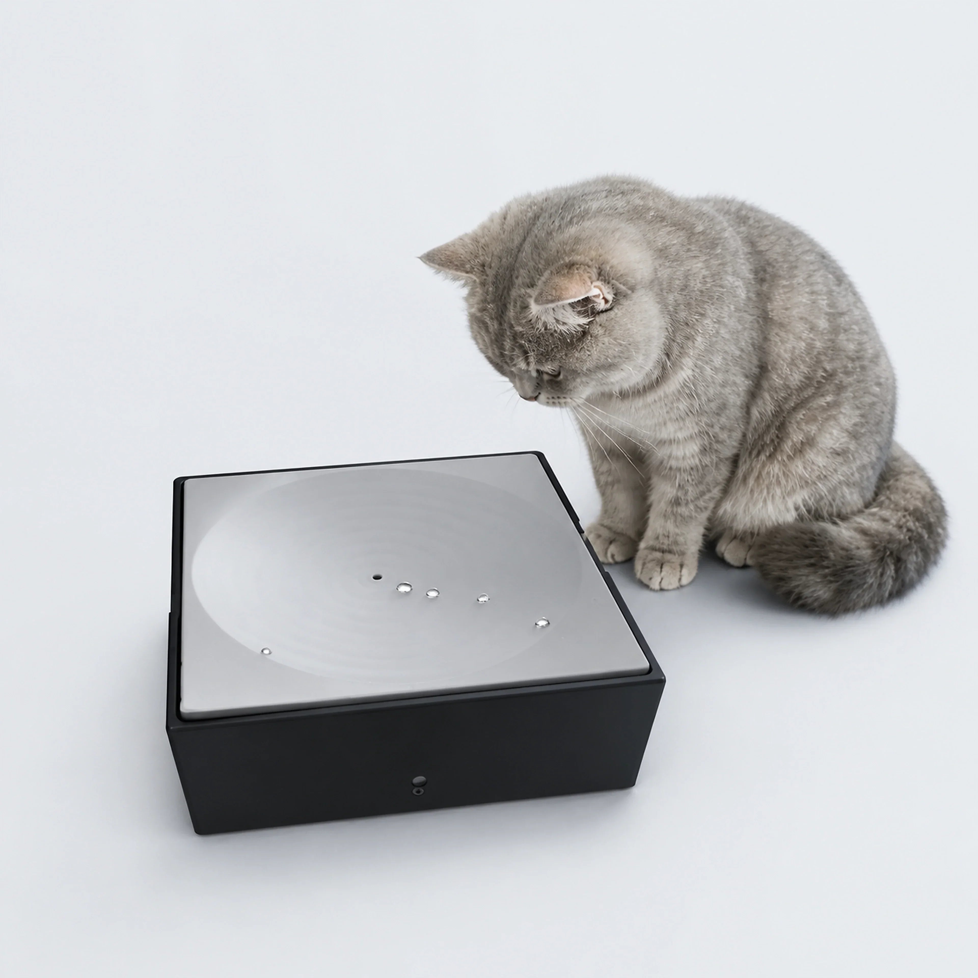 Automatic Water Droplet Cat Teaser – Rechargeable or Plug-In