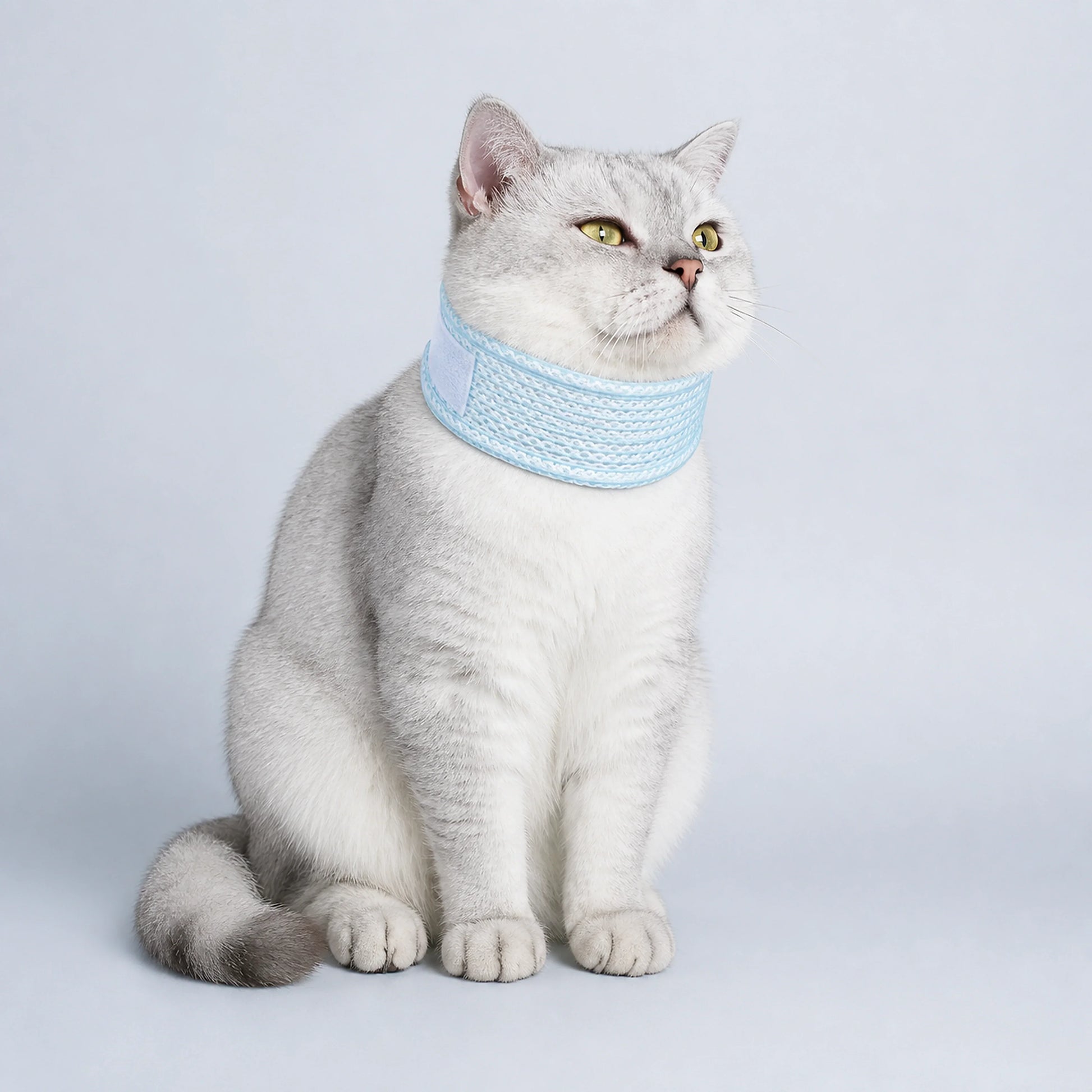 Breathable Adjustable Elizabethan Recovery Collar for Cats