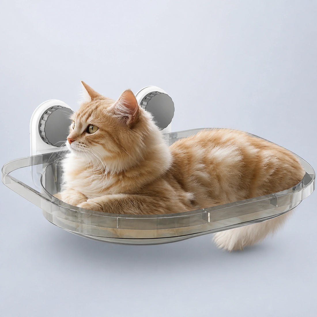 Clear Window-Mounted Cat Hammock – 2 Colors