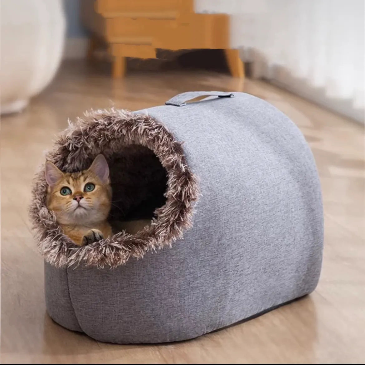 Warm Enclosed Pet House for Cats & Small Dogs – M or L