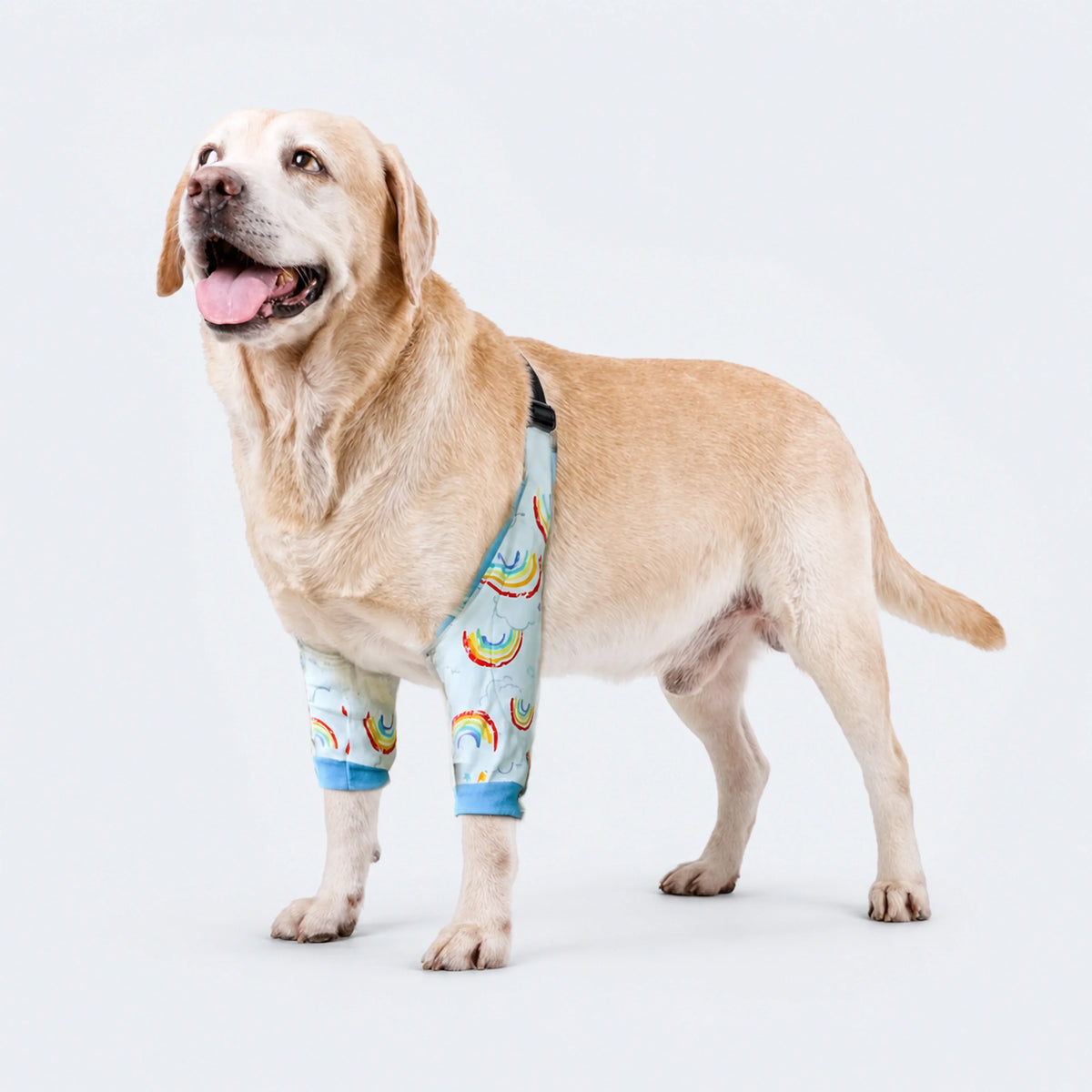 Dog Front-Leg & Elbow Protection Sleeve – 4 Sizes
