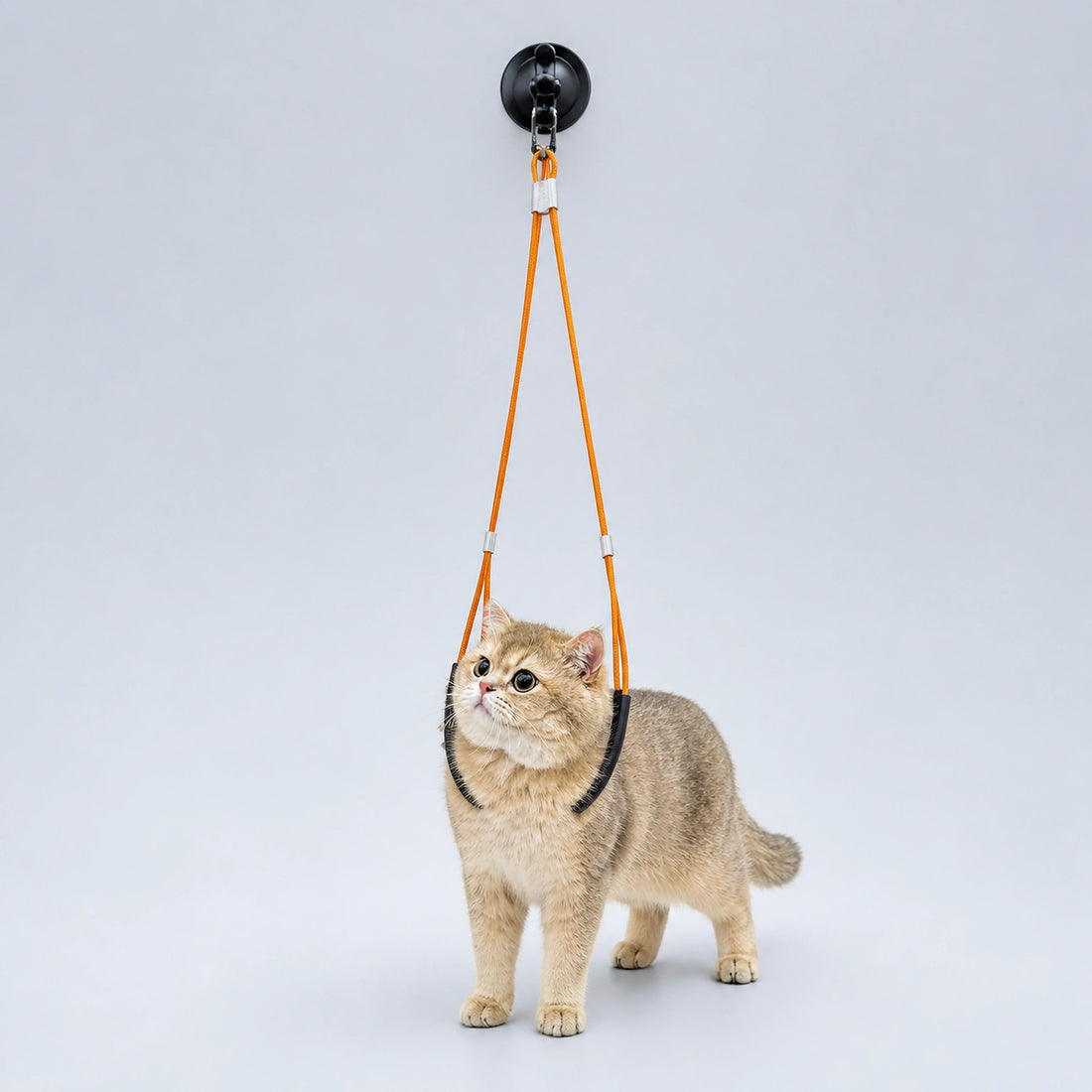 Double-Loop Pet Grooming Restraint with Suction Mount