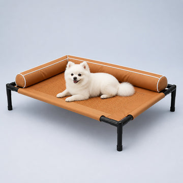 Elevated Pet Bed with Padded Safety Bolsters – 3 Styles