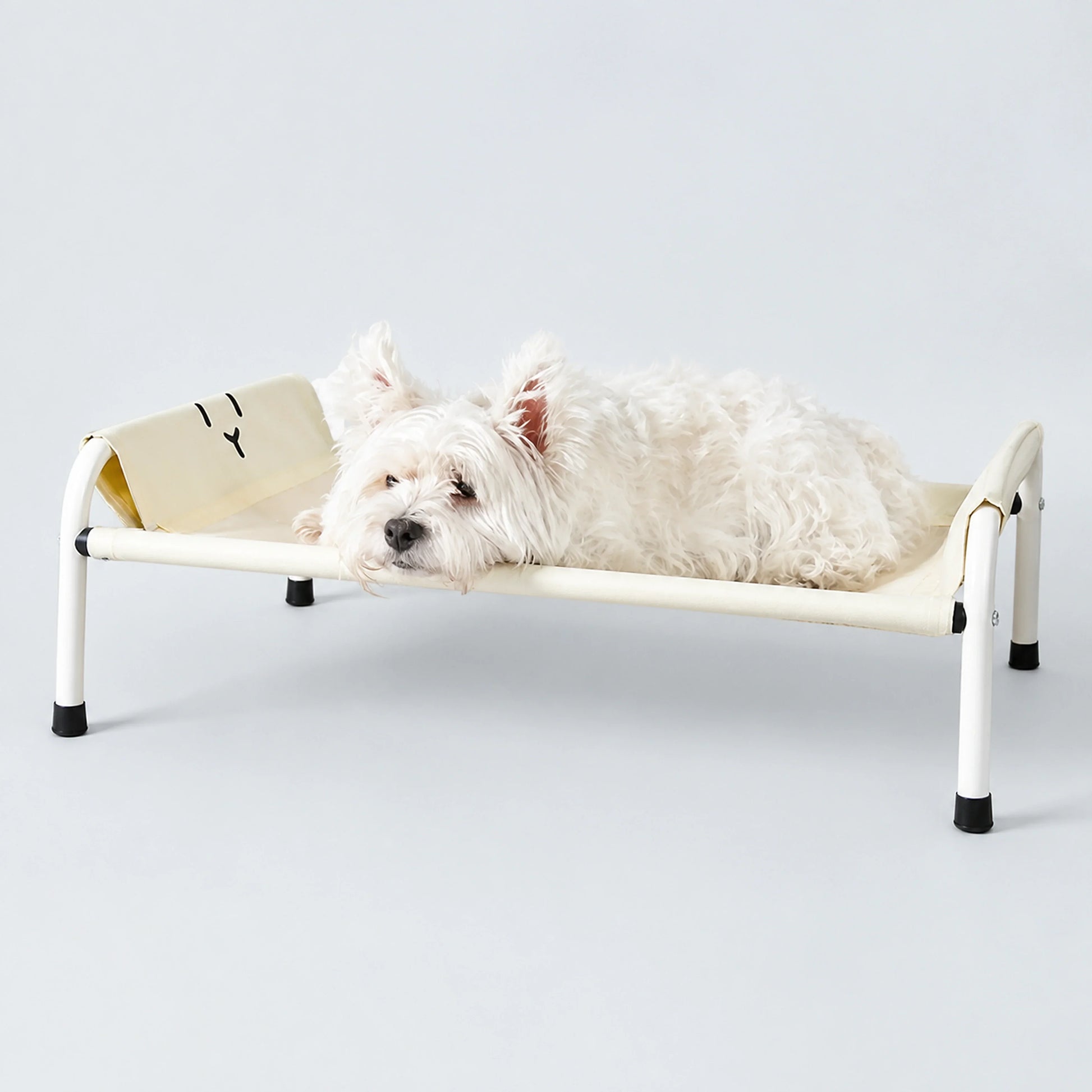 Elevated Pet Camp Bed – Grey or Yellow, 3 Sizes