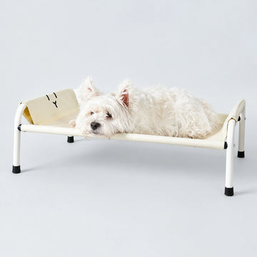 Elevated Pet Camp Bed – Grey or Yellow, 3 Sizes