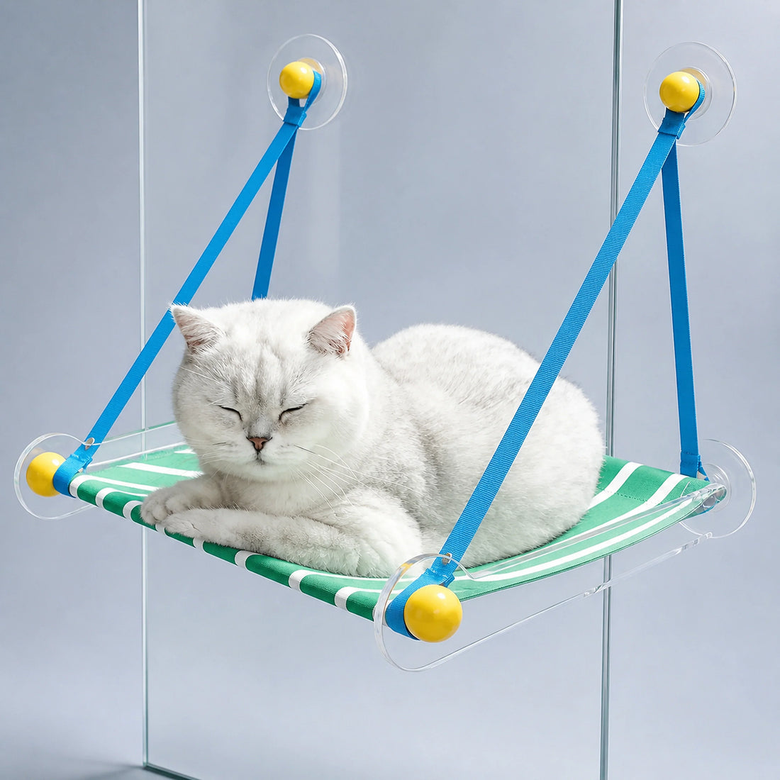 Foldable Acrylic Cat Window Hammock with Suction Cups – 2 Styles