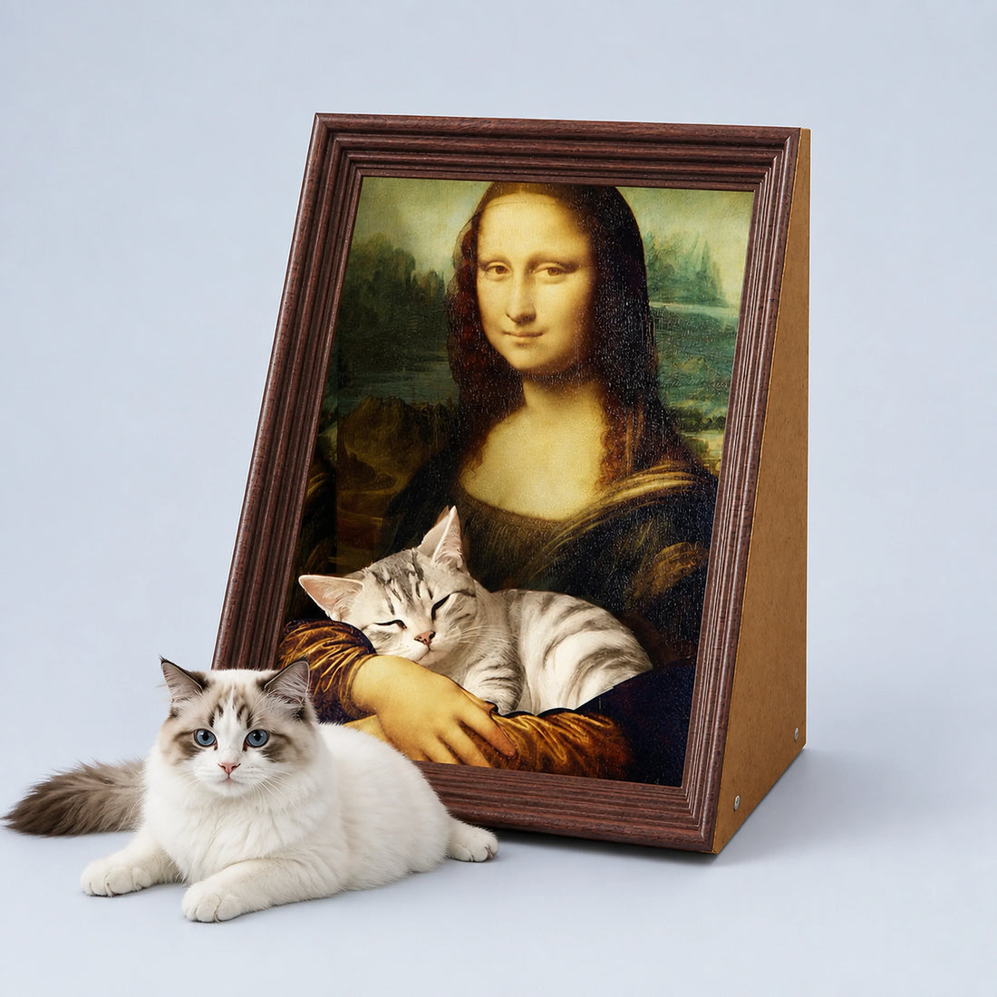 Framed Art Cat Scratcher and Lounge – 6 Designs