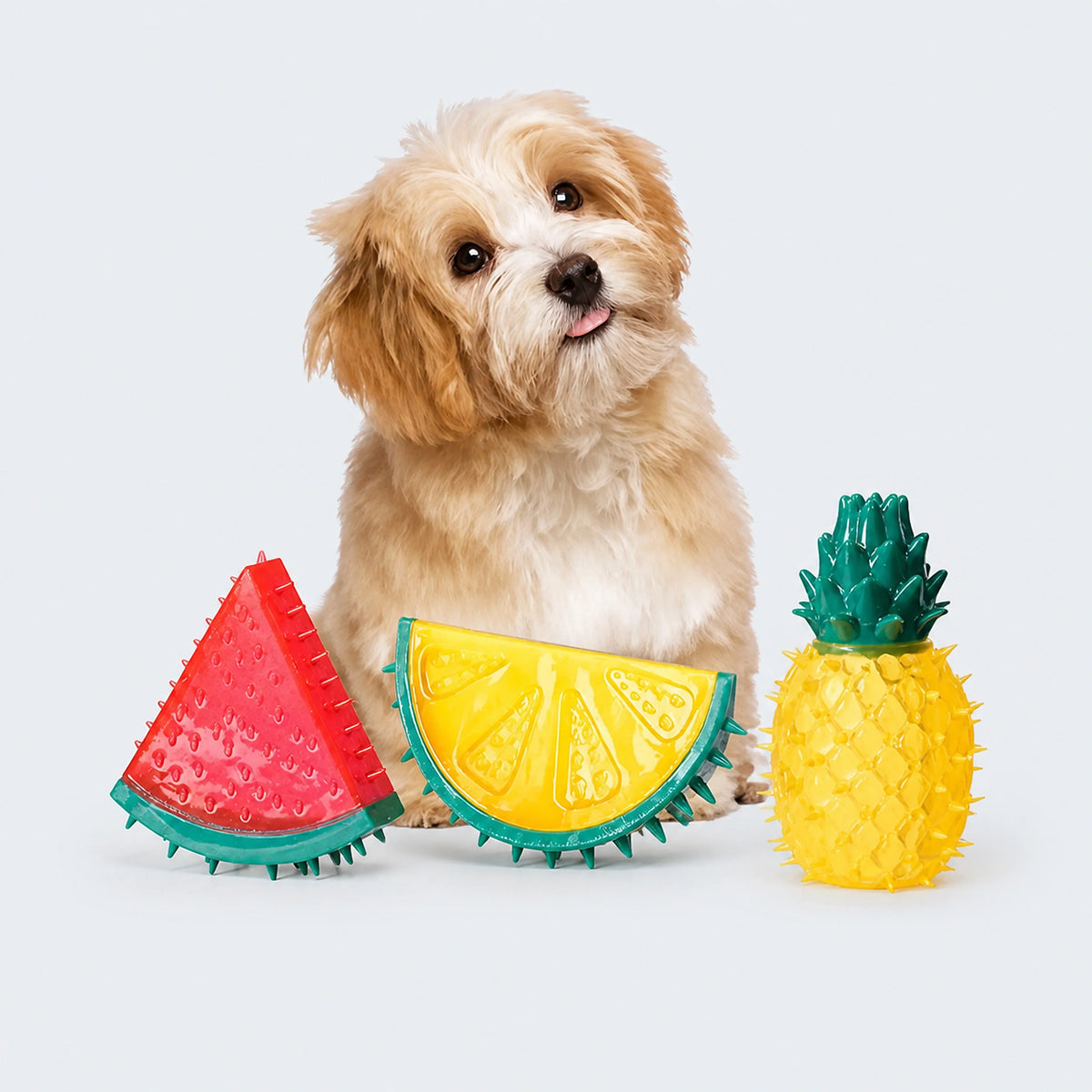Freezable Fruit-Shaped Dog Chew Toy – Single or 3-Pack