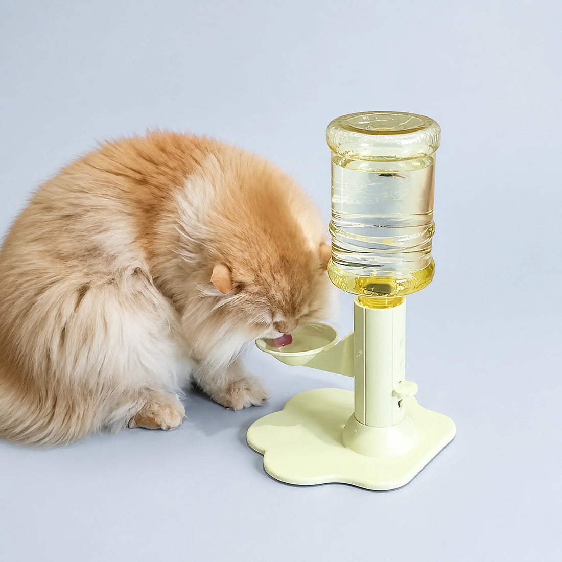Gravity Pet Water Dispenser Stand – With or Without Bottle