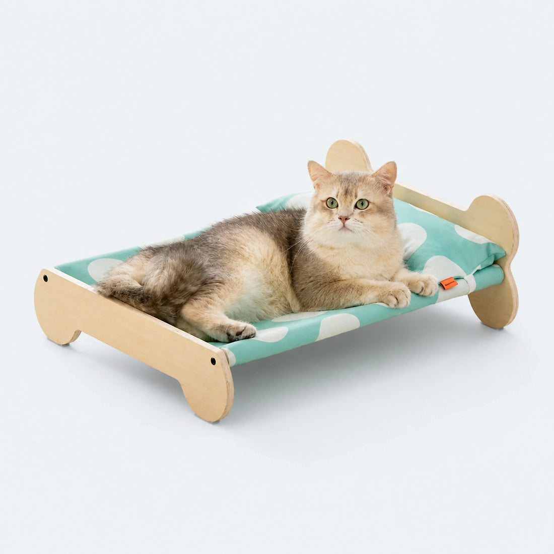 Indoor Cat Bed in Green or Pink