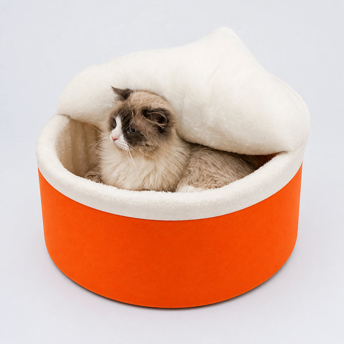 Instant Noodle Cup Cat Bed with Lid – 3 Sizes