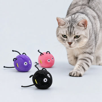 Interactive Plush Ball Toy for Cats