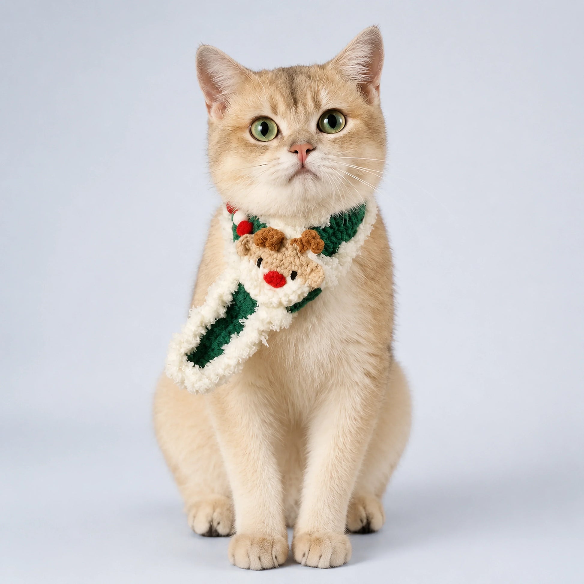 Knitted Christmas scarf Pet Decorations
