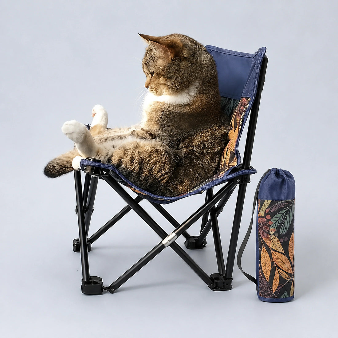 Portable Folding Chair for Cats & Small Pets with Carry Bag