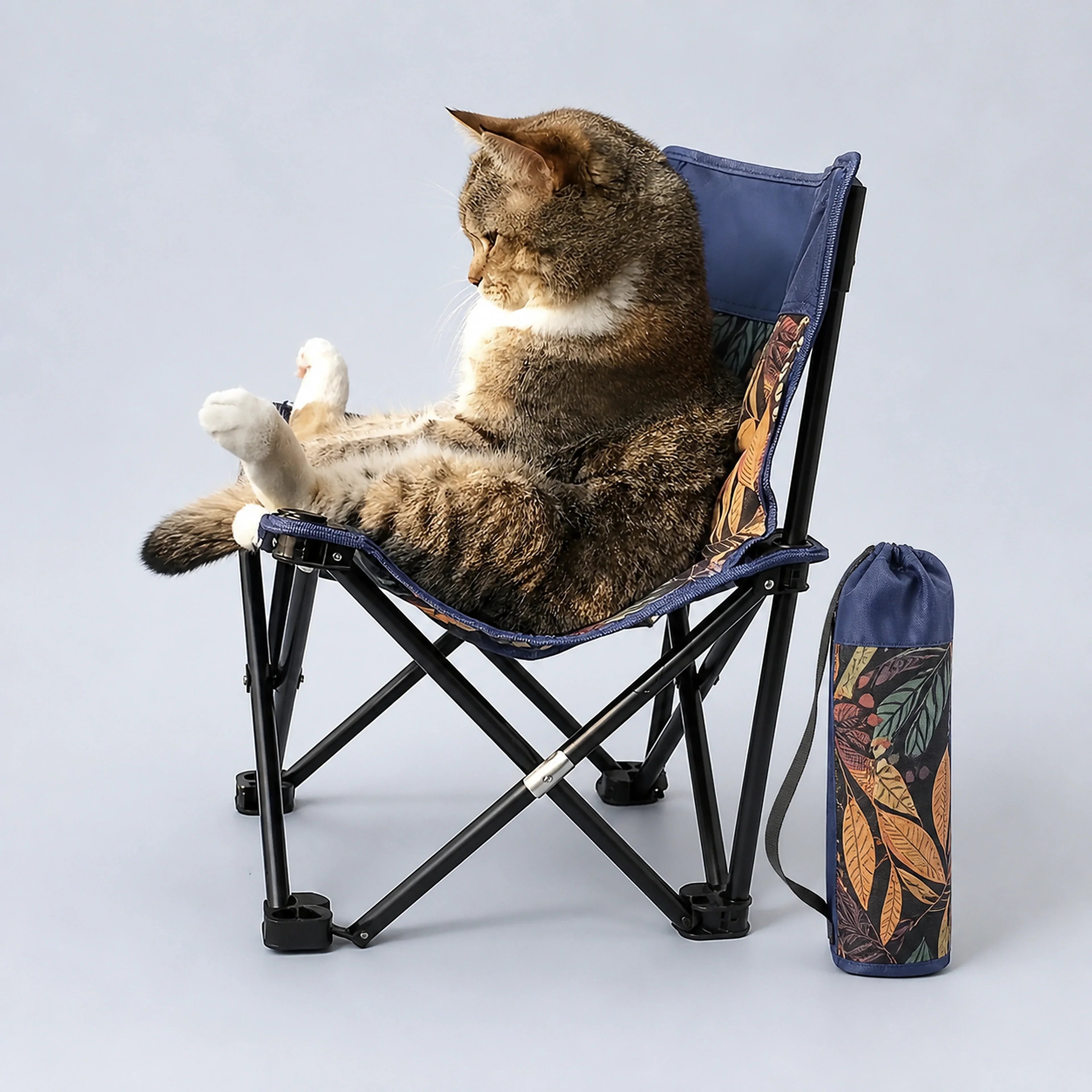 Portable Folding Chair for Cats & Small Pets with Carry Bag