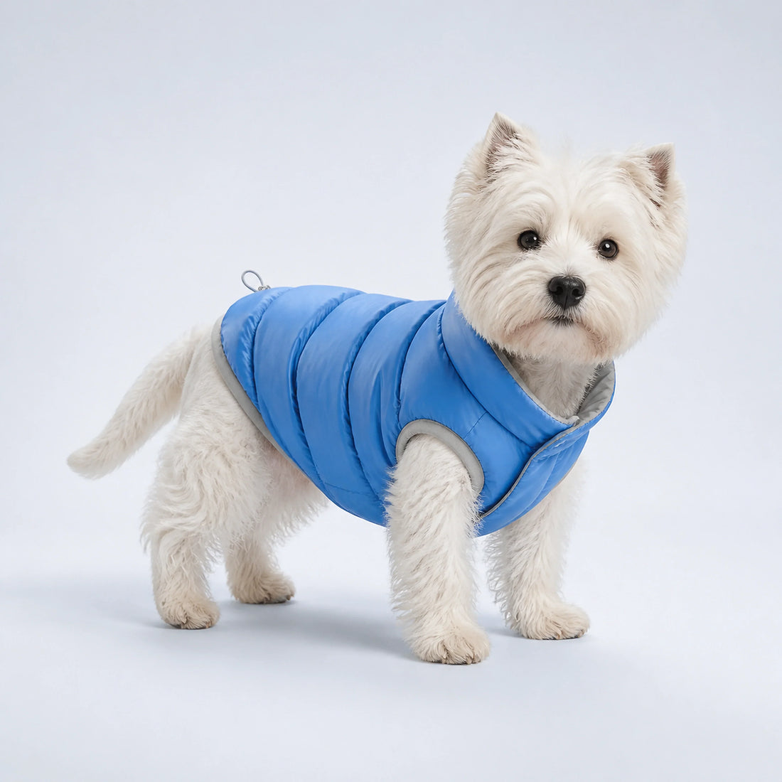 Reversible Blue & Silver Dog Puffer Jacket – 5 Sizes