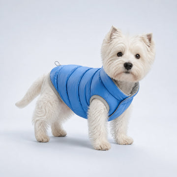 Reversible Blue & Silver Dog Puffer Jacket – 5 Sizes