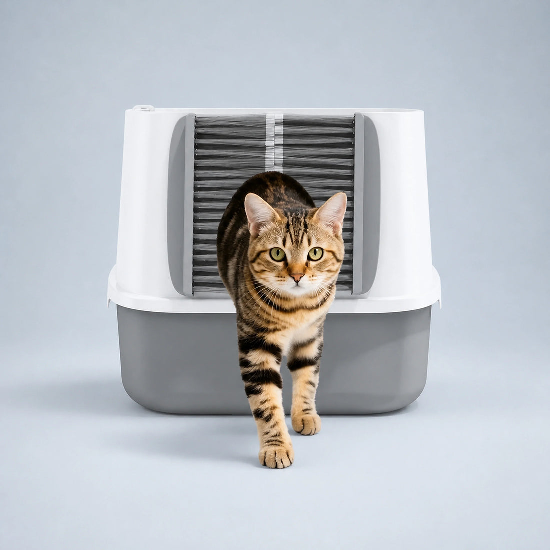 Self-Grooming Brush Gate for Cat Litter Boxes
