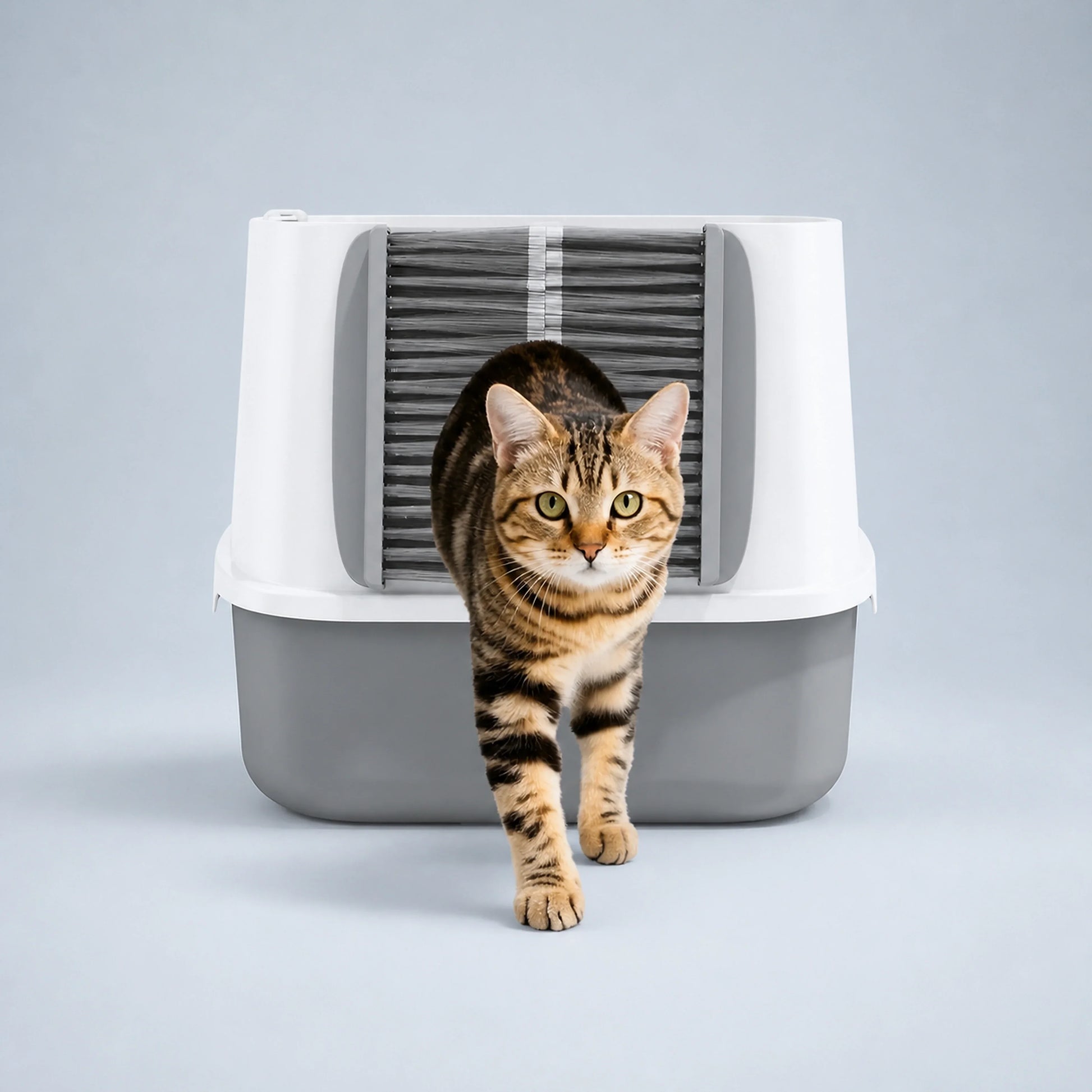 Self-Grooming Brush Gate for Cat Litter Boxes