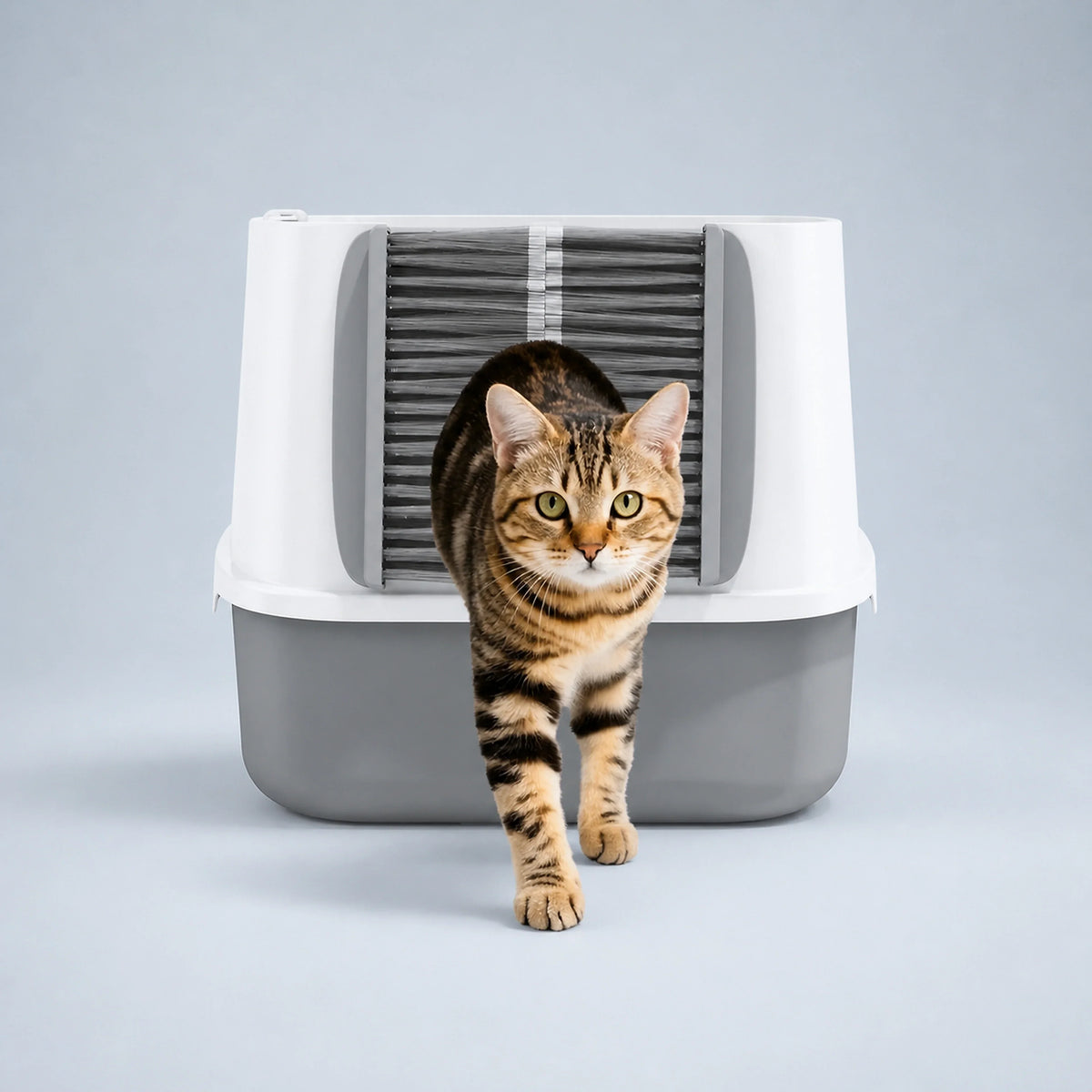 Self-Grooming Brush Gate for Cat Litter Boxes