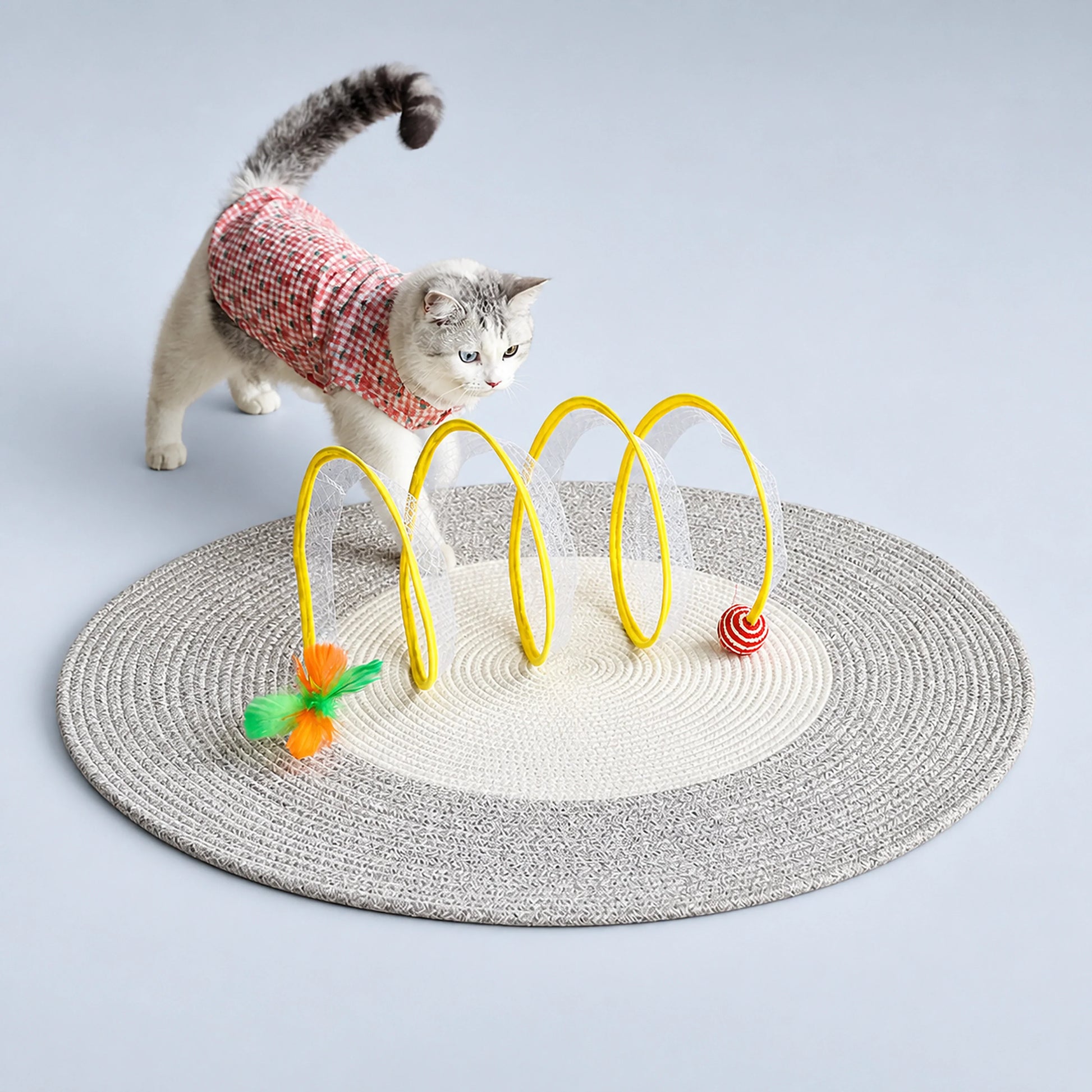 Spiral Cat Track Toy with Ball and Feather – Single or Multi-Pack