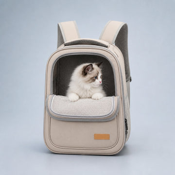 Structured Mesh-Front Pet Carrier Backpack – 3 Styles