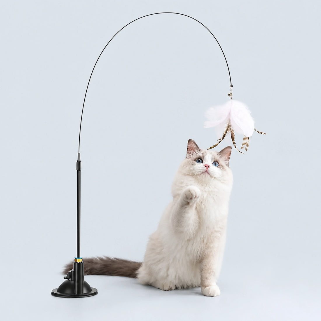 Suction Base Feather Wand Cat Toy – 5 Colors
