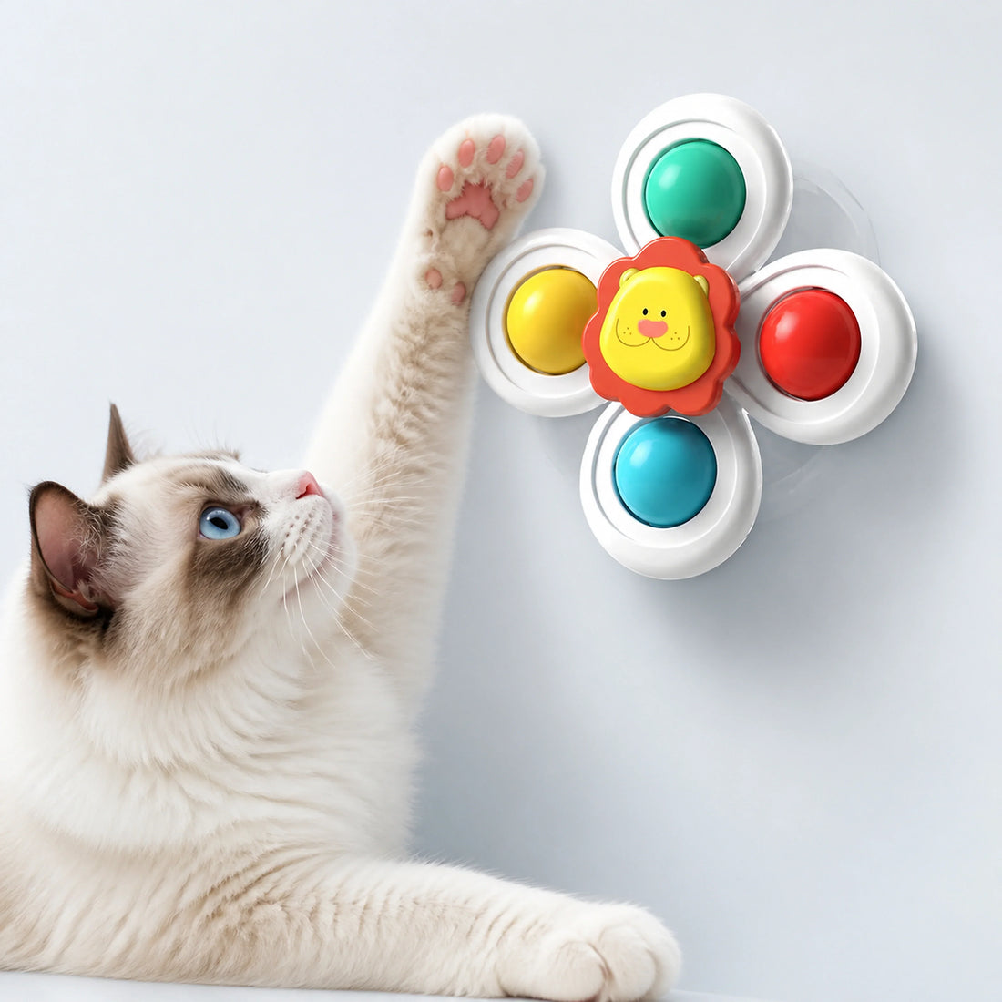 Suction Cup Spinner Toy for Cats – 3 Designs