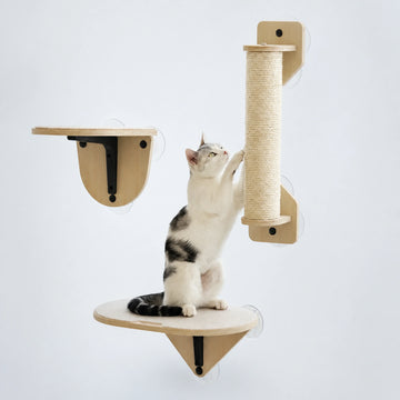 Suction Cup Window Cat Shelves & Scratching Post – 3 Styles