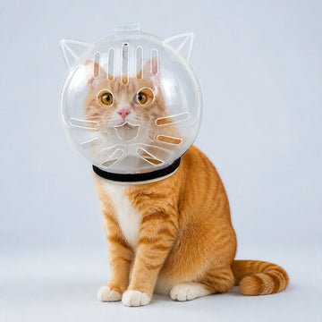 Transparent Breathable Cat Grooming Hood – M to XL