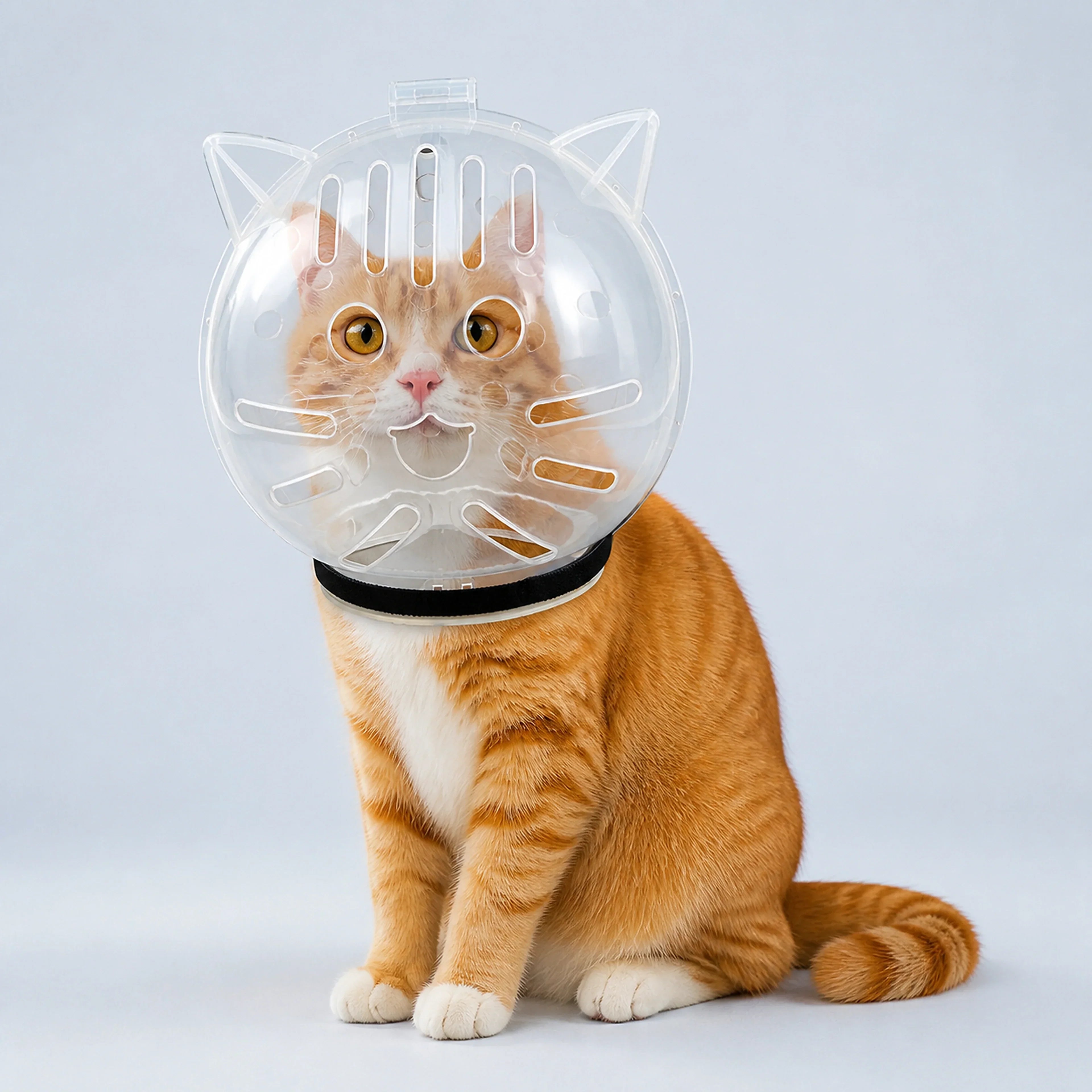 Transparent Breathable Cat Grooming Hood – M to XL