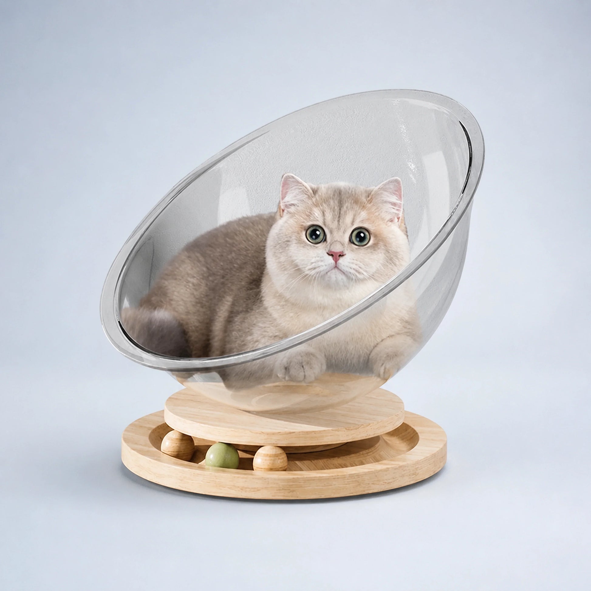 Transparent Space Capsule Cat Bed – 3 Sizes