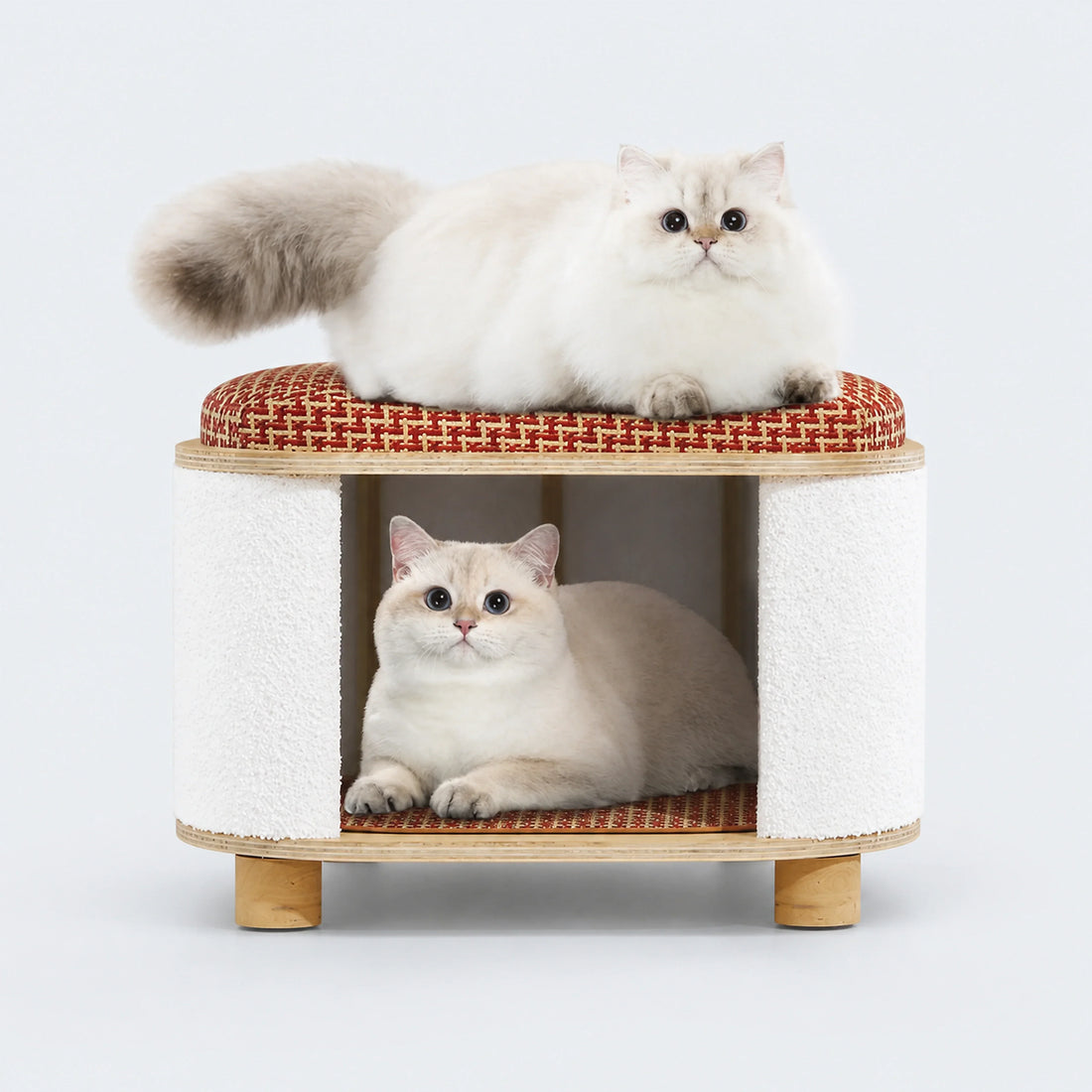 Two-Level Cat Nest Stool with Scratching Posts