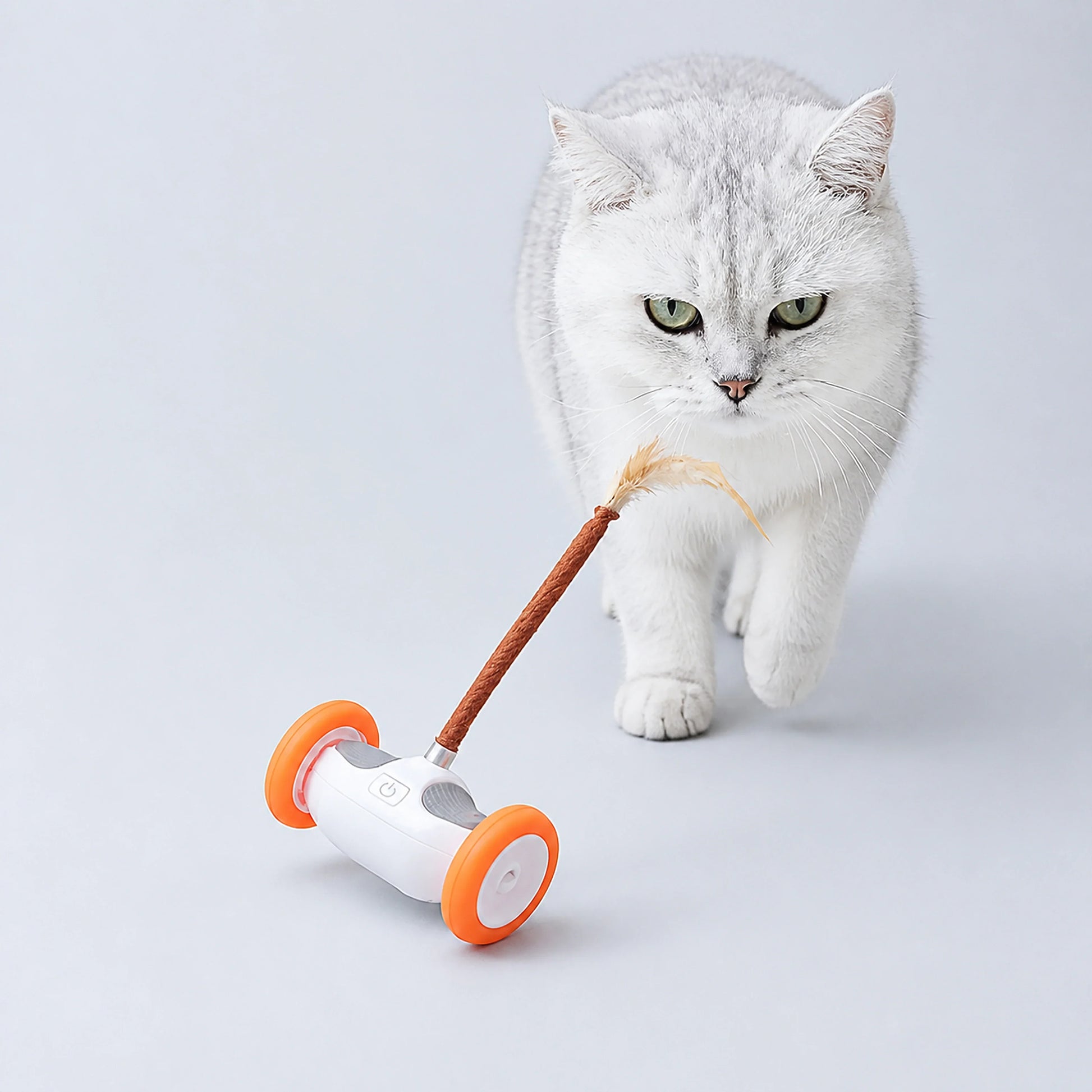 USB-Rechargeable Moving Cat Toy with Tail