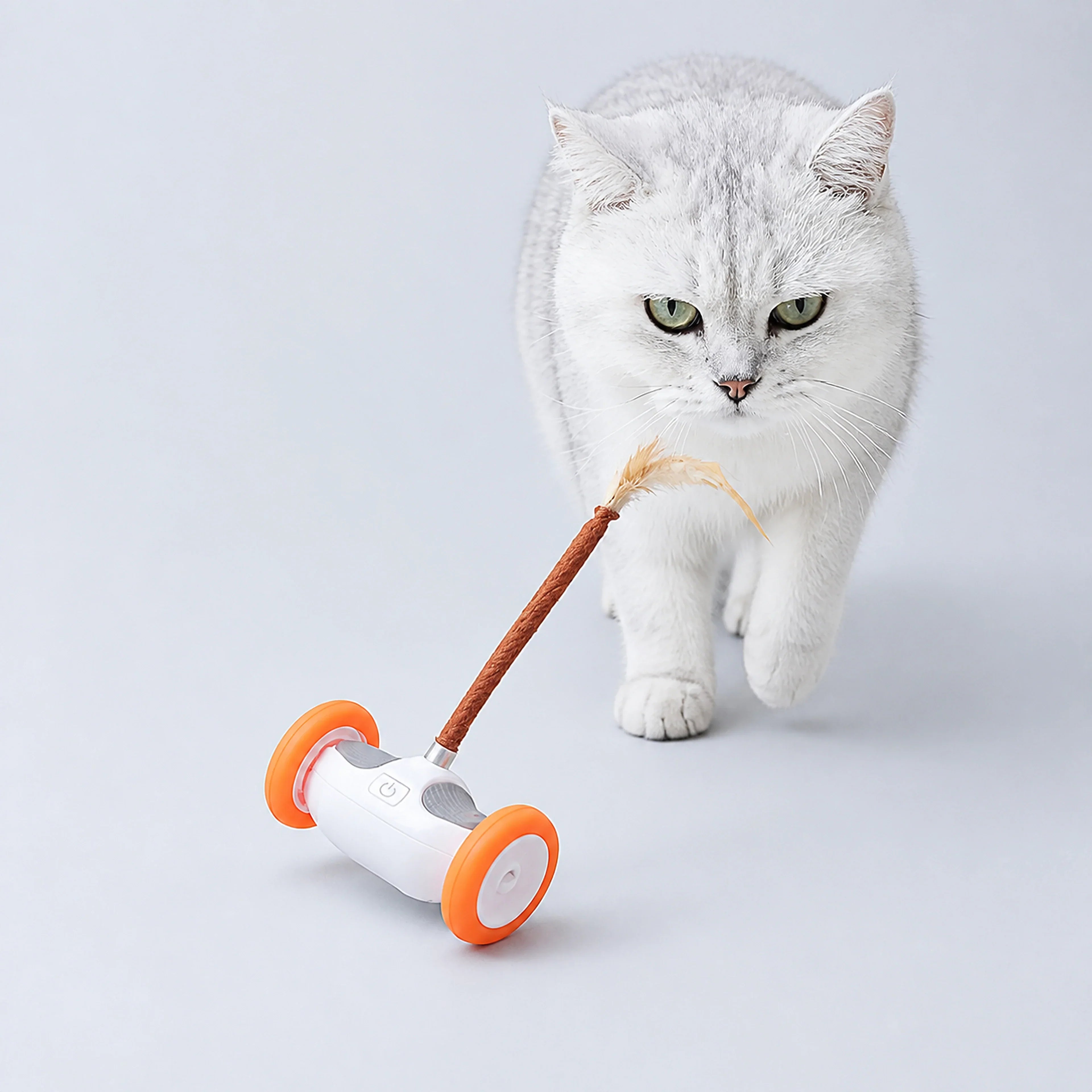USB-Rechargeable Moving Cat Toy with Tail