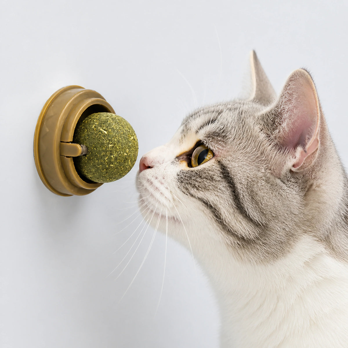 Wall-Mounted 360° Rotating Catnip Ball – 1 or 3 Pack